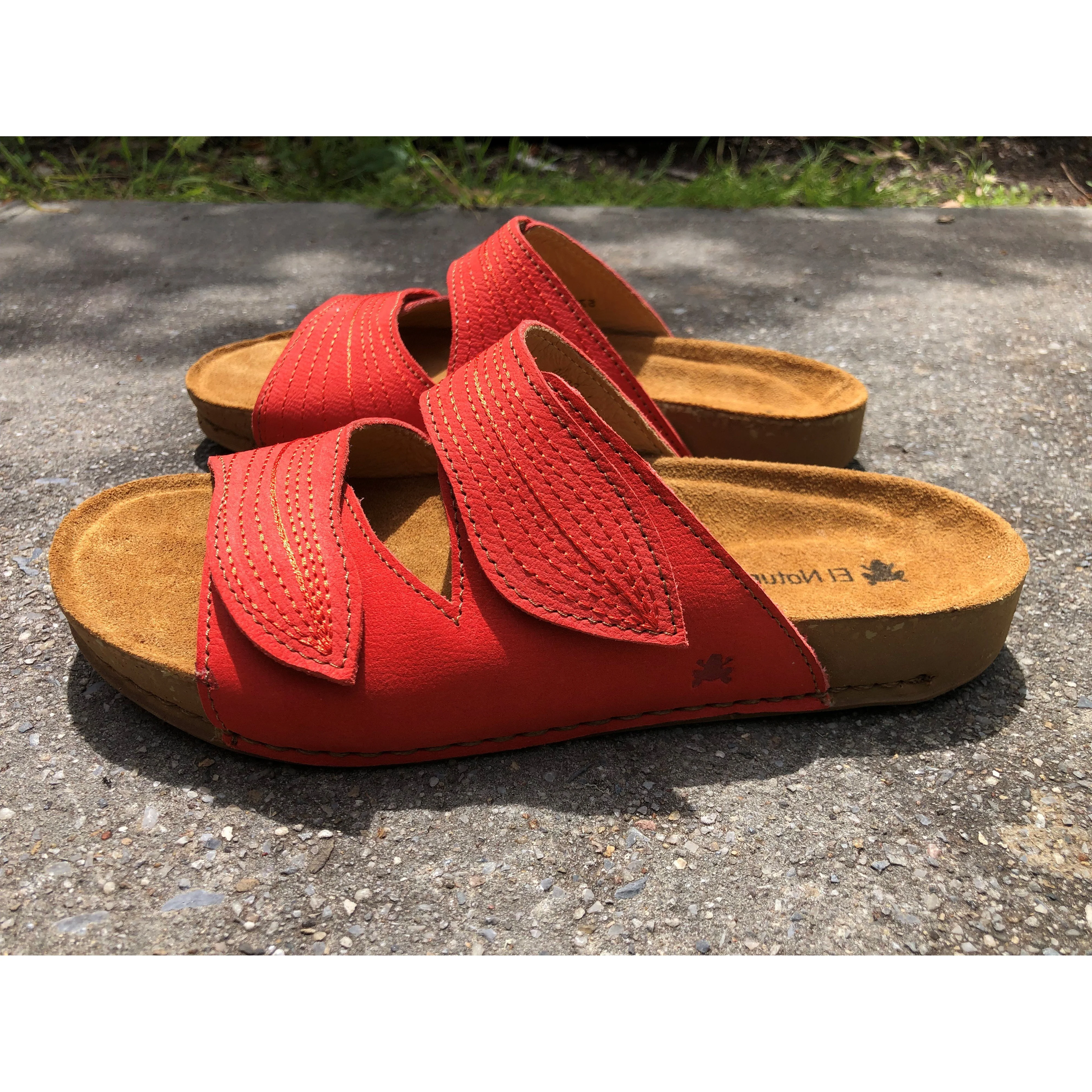 El Naturalista 5793 BALANCE - Image 3