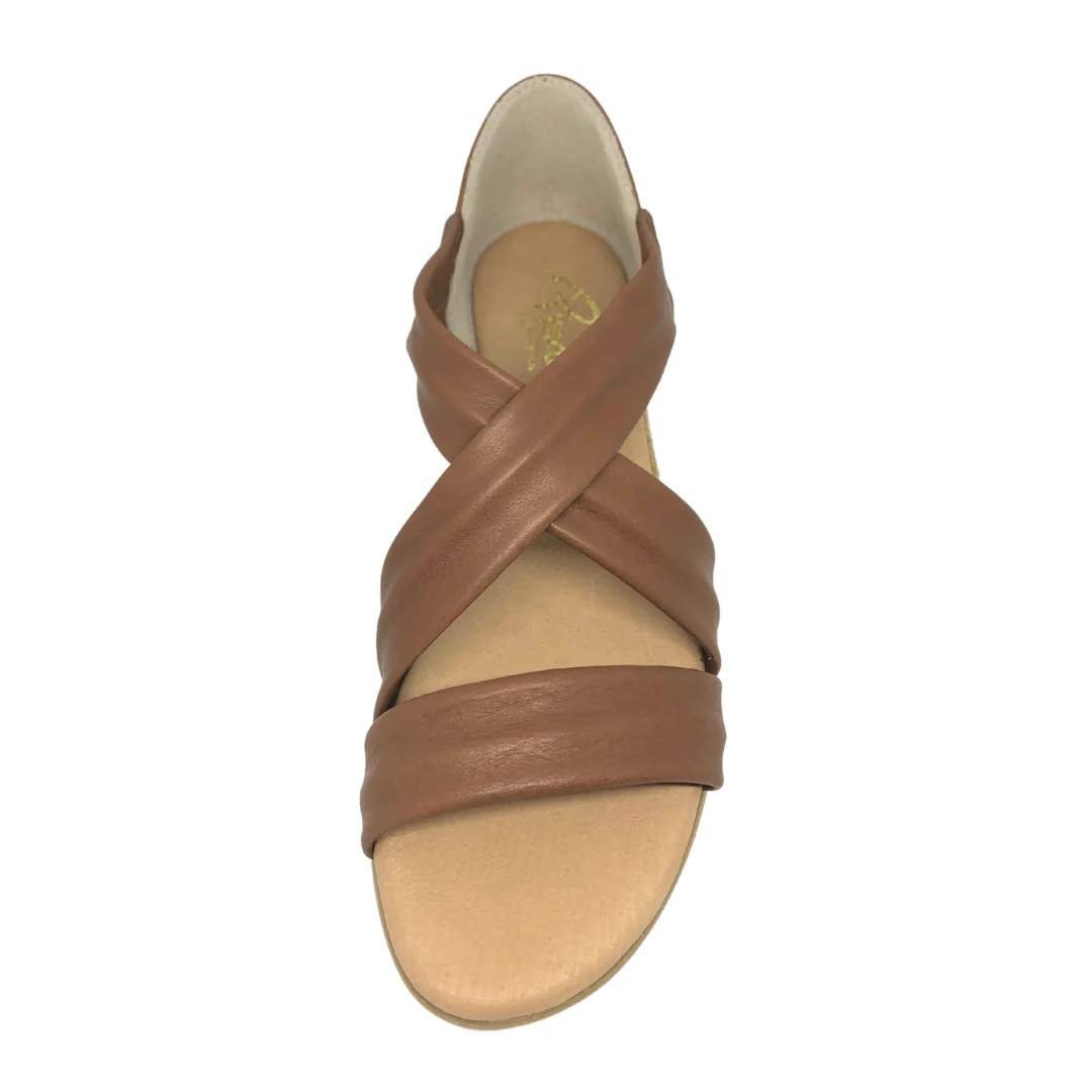 Pinaz 317 - Image 14