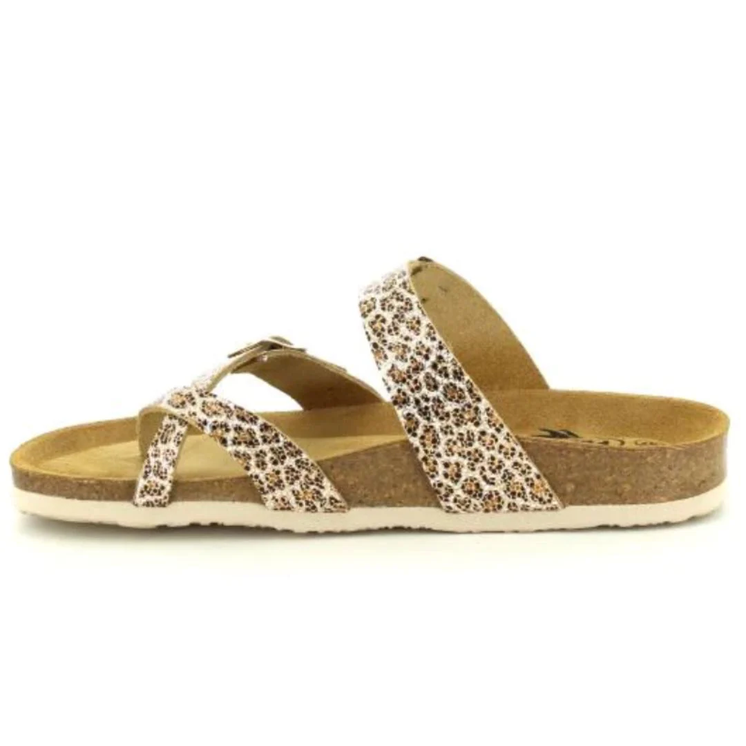 Plakton 181032 - Image 5